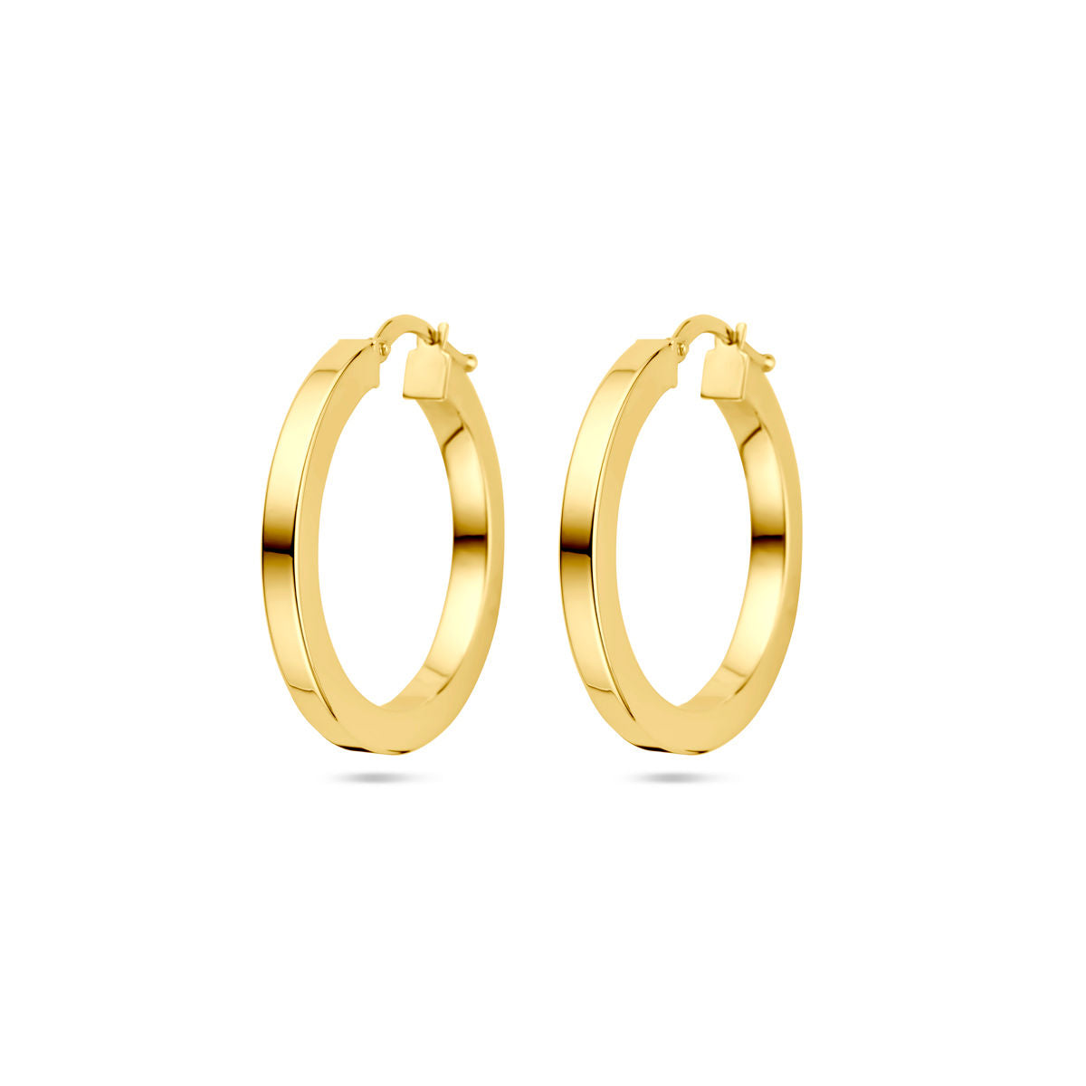 Earrings - 40.32158