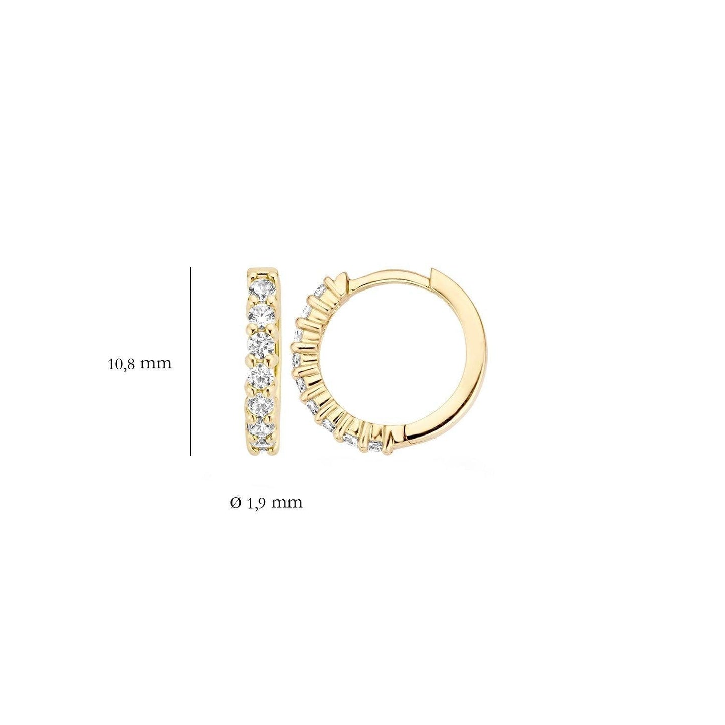 BLUSH OORBELLEN ZIRKONIA 7134YZI - 14 K GEELGOUD