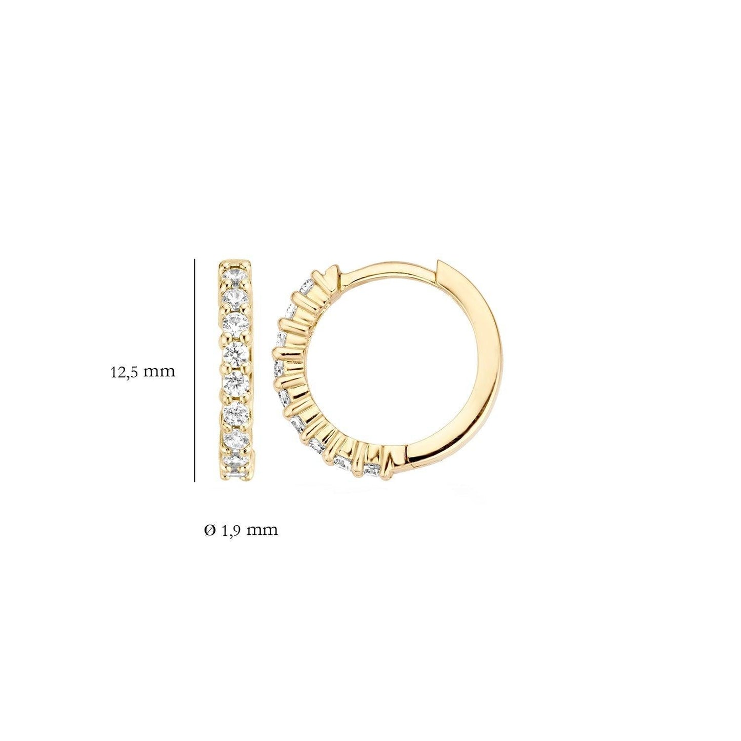 BLUSH OORBELLEN ZIRKONIA 7166YZI - 14 K GEELGOUD